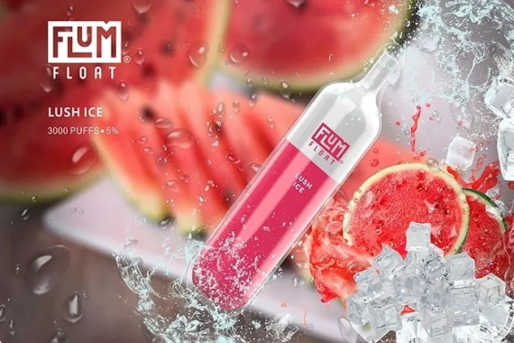 FLUM FLOAT 3000 bouffées | Flum Pebble Berne H2R452 glace luxuriante