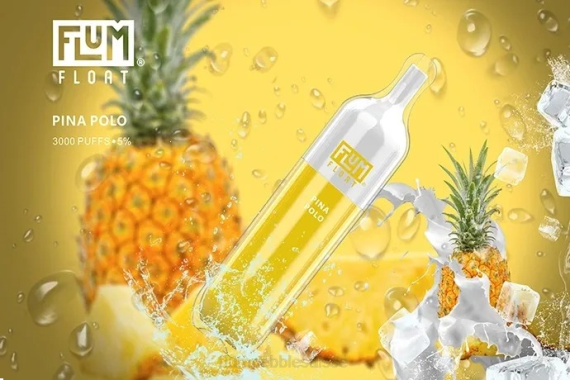 FLUM FLOAT 3000 bouffées | Flum Pebble Price H2R464 pina-polo