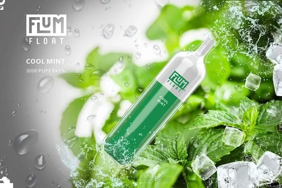 FLUM FLOAT 3000 bouffées | Flum Pebble Review H2R425 menthe fraîche