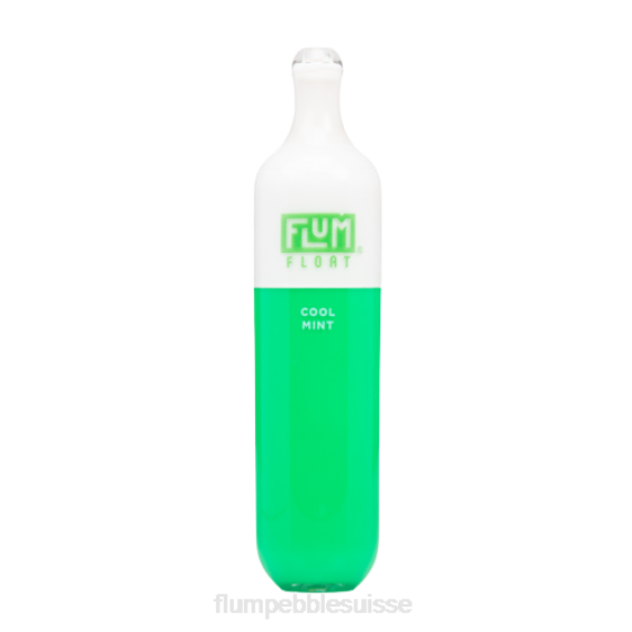 FLUM FLOAT 3000 bouffées | Flum Pebble Review H2R425 menthe fraîche
