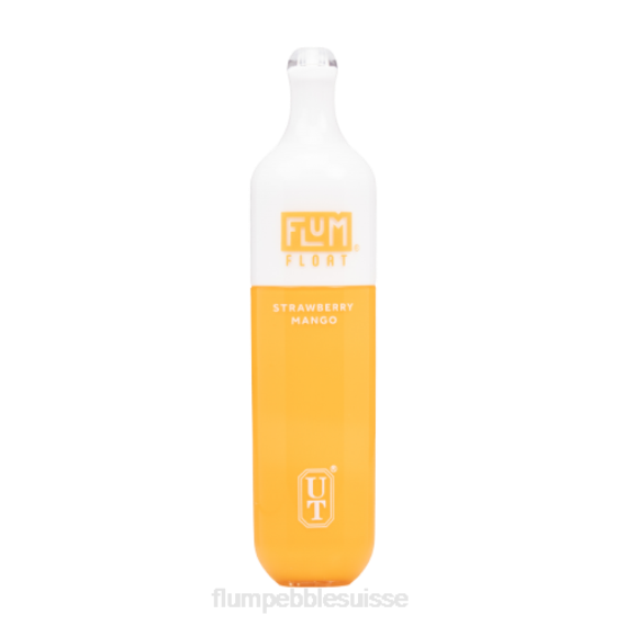 FLUM FLOAT 3000 bouffées | Flum Pebble Review H2R475 mangue fraise