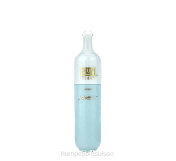 FLUM FLOAT 3000 bouffées | Flum Pebble Vape Near Me H2R419 brise
