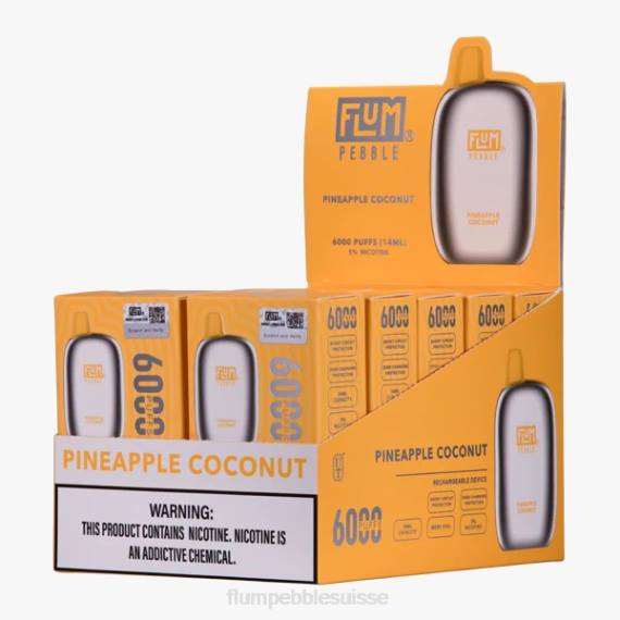 FLUM PEBBLES 6000 bouffées 10 paquets | Flum Pebble Flavors H2R466 ananas noix de coco