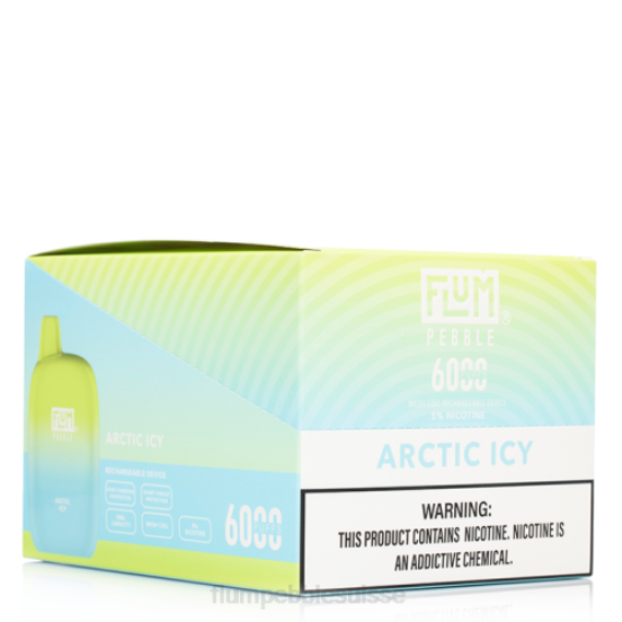 FLUM PEBBLES 6000 bouffées 10 paquets | Flum Pebble Flavors H2R46 arctique glacé