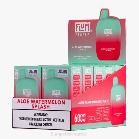FLUM PEBBLES 6000 bouffées 10 paquets | Flum Pebble Review H2R45 éclaboussure de pastèque à l'aloès