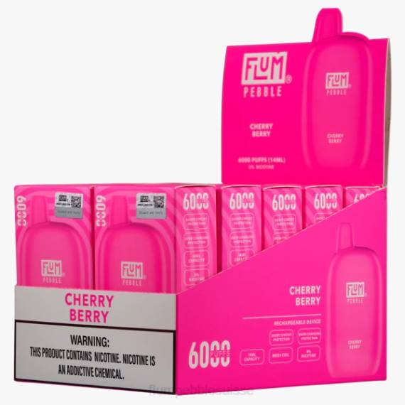 FLUM PEBBLES 6000 bouffées 10 paquets | Flum Pebble Suisse H2R421 baie de cerise