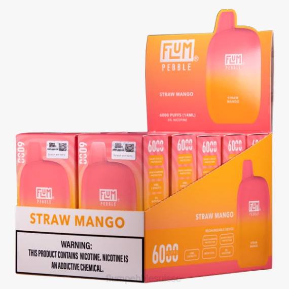 FLUM PEBBLES 6000 bouffées 10 paquets | Flum Pebble Vape Near Me H2R469 mangue paille