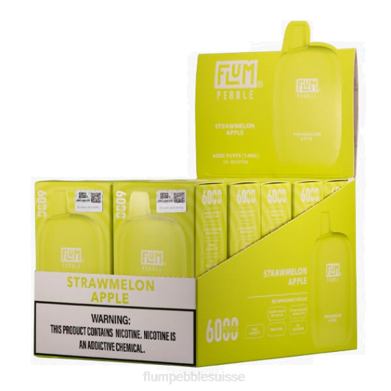 FLUM PEBBLES 6000 bouffées 10 paquets | Flum Pebble Vape Near Me H2R479 pomme pastèque