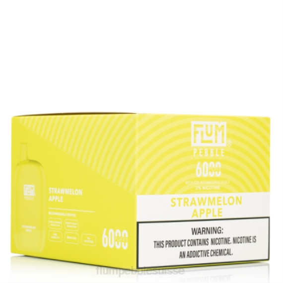 FLUM PEBBLES 6000 bouffées 10 paquets | Flum Pebble Vape Near Me H2R479 pomme pastèque