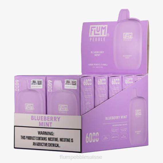FLUM PEBBLES 6000 bouffées 10 paquets | Flum Pebble Vape Price H2R418 menthe myrtille