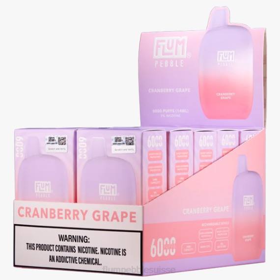 FLUM PEBBLES 6000 bouffées 10 paquets | Flum Pebble Vape Price H2R428 raisin de canneberge