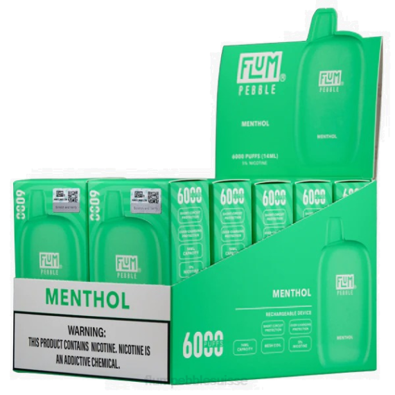 FLUM PEBBLES 6000 bouffées 10 paquets | Flum Pebble Vape Price H2R458 menthol