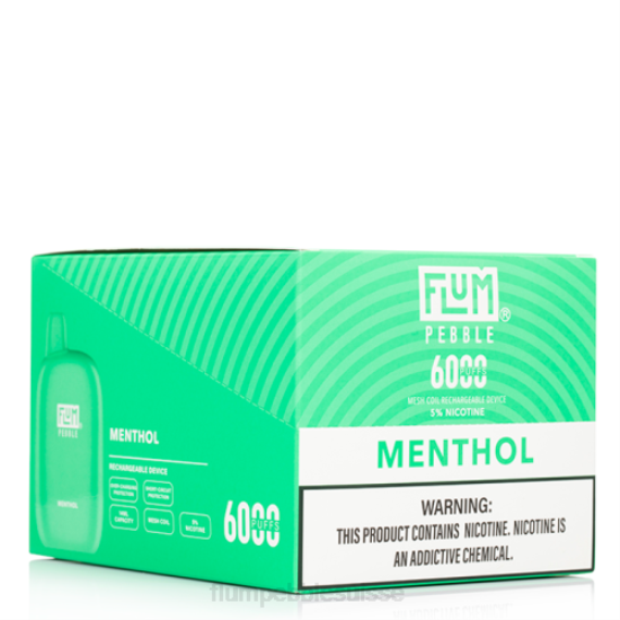 FLUM PEBBLES 6000 bouffées 10 paquets | Flum Pebble Vape Price H2R458 menthol