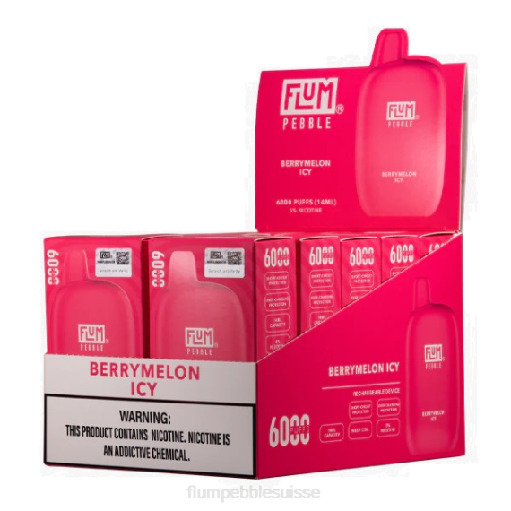 FLUM PEBBLES 6000 bouffées 10 paquets | Flum Pebble Vape Price H2R48 melon glacé