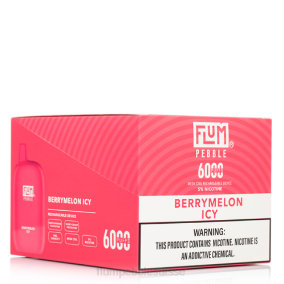 FLUM PEBBLES 6000 bouffées 10 paquets | Flum Pebble Vape Price H2R48 melon glacé