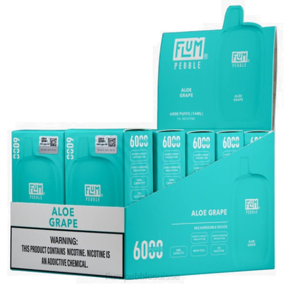 FLUM PEBBLES 6000 bouffées 10 paquets | Flum Pebble Vape Suisse H2R43 raisin d'aloès