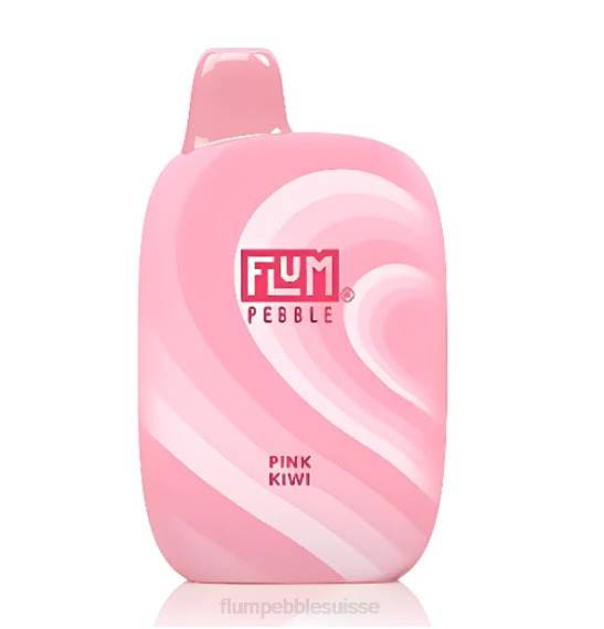 FLUM PEBBLES 6000 bouffées | Flum Pebble Berne H2R442 kiwi rose