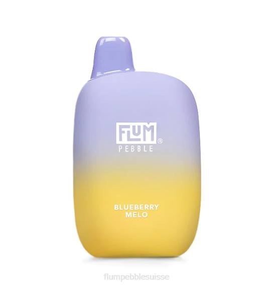 FLUM PEBBLES 6000 bouffées | Flum Pebble Flavors H2R416 mélo aux myrtilles