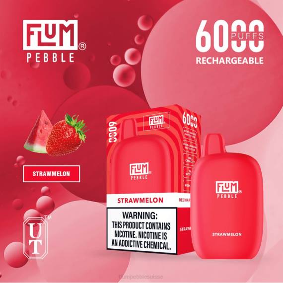 FLUM PEBBLES 6000 bouffées | Flum Pebble Flavors H2R476 pastèque