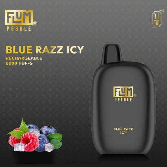 FLUM PEBBLES 6000 bouffées | Flum Pebble Price H2R414 bleu razz glacé