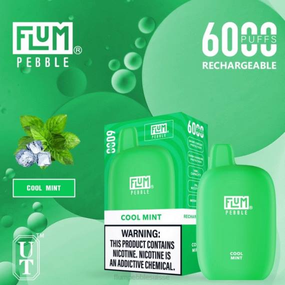 FLUM PEBBLES 6000 bouffées | Flum Pebble Price H2R424 menthe fraîche