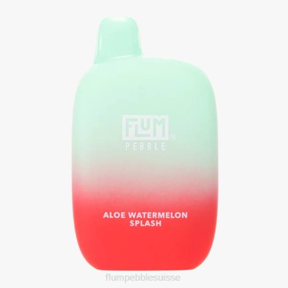 FLUM PEBBLES 6000 bouffées | Flum Pebble Price H2R44 éclaboussure de pastèque à l'aloès