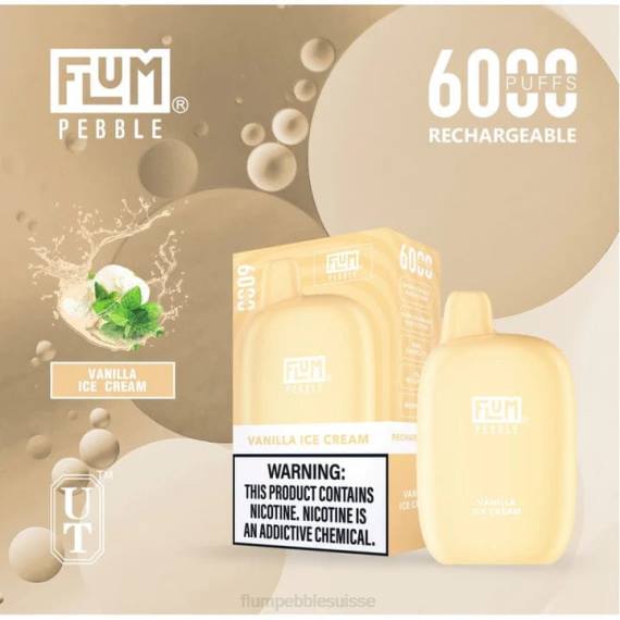 FLUM PEBBLES 6000 bouffées | Flum Pebble Price H2R484 glace à la vanille