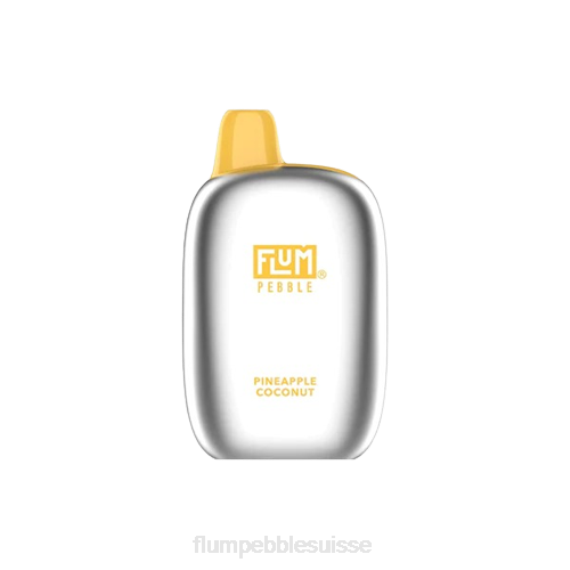 FLUM PEBBLES 6000 bouffées | Flum Pebble Review H2R465 ananas noix de coco