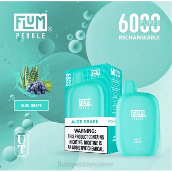 FLUM PEBBLES 6000 bouffées | Flum Pebble Suisse H2R41 raisin d'aloès