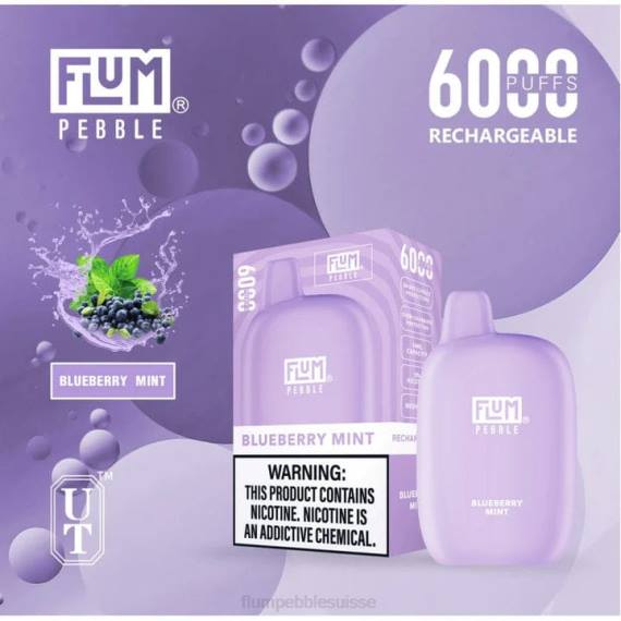 FLUM PEBBLES 6000 bouffées | Flum Pebble Vape Flavors H2R417 menthe myrtille