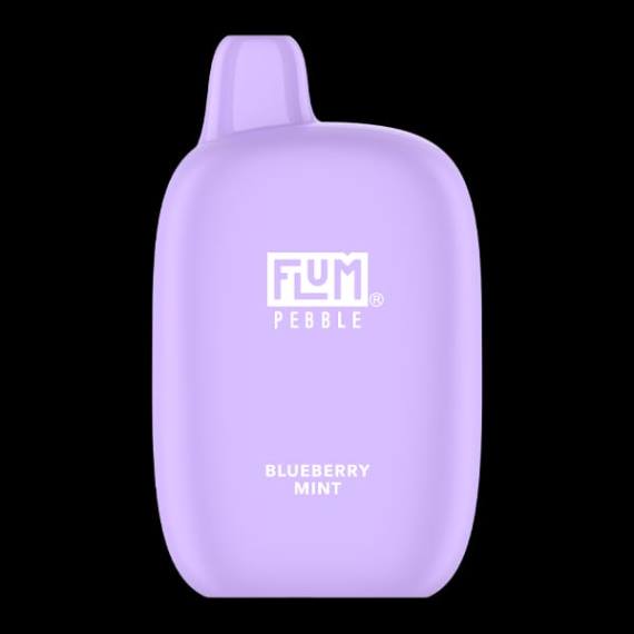 FLUM PEBBLES 6000 bouffées | Flum Pebble Vape Flavors H2R417 menthe myrtille