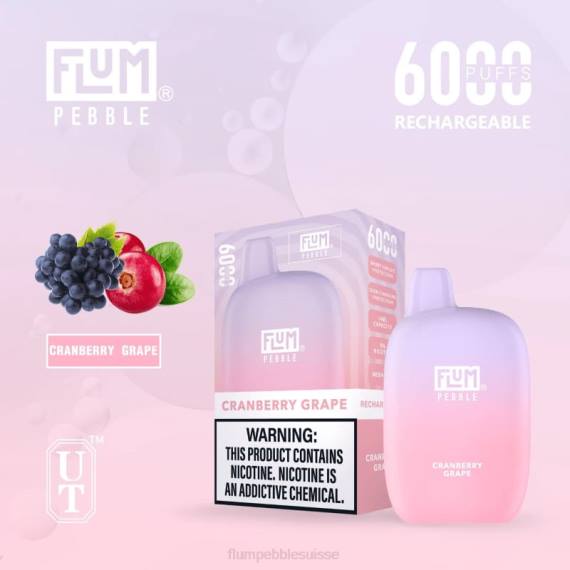 FLUM PEBBLES 6000 bouffées | Flum Pebble Vape Flavors H2R427 raisin de canneberge