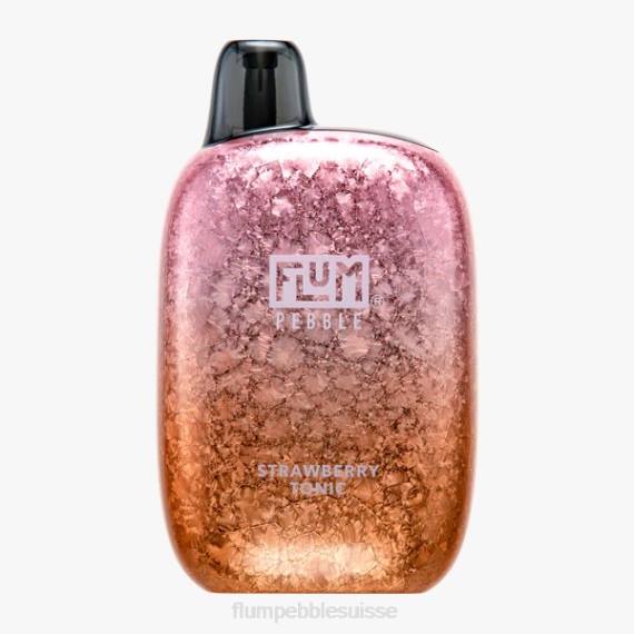 FLUM PEBBLES 6000 bouffées | Flum Pebble Vape Flavors H2R447 tonique à la fraise