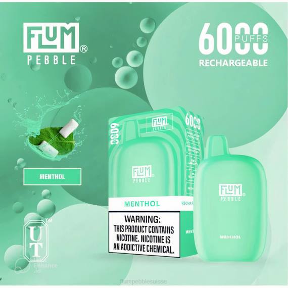 FLUM PEBBLES 6000 bouffées | Flum Pebble Vape Flavors H2R457 menthol