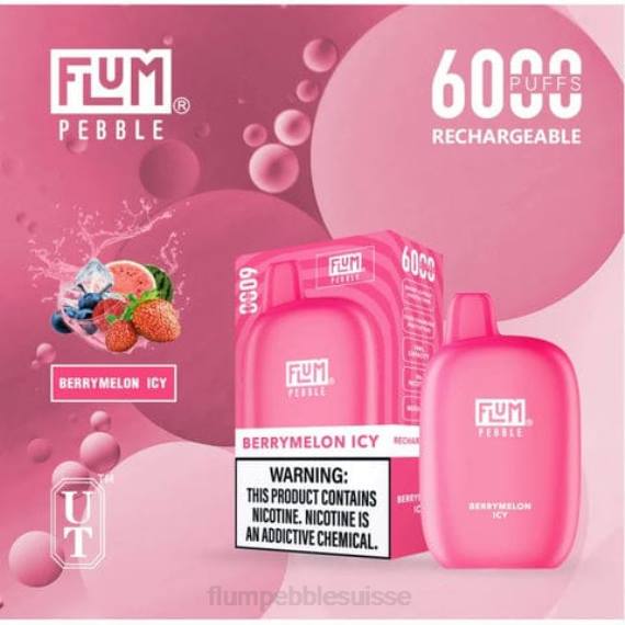 FLUM PEBBLES 6000 bouffées | Flum Pebble Vape Flavors H2R47 melon glacé