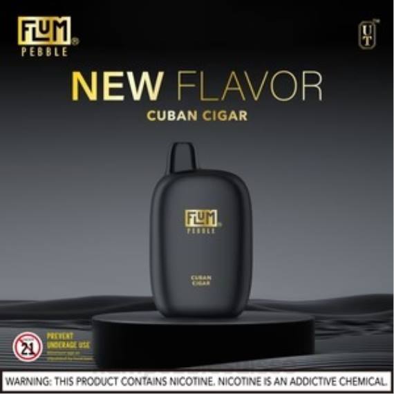 FLUM PEBBLES 6000 bouffées | Flum Pebble Vape Near Me H2R429 cigare cubain
