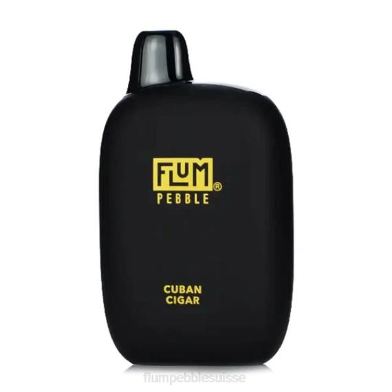 FLUM PEBBLES 6000 bouffées | Flum Pebble Vape Near Me H2R429 cigare cubain