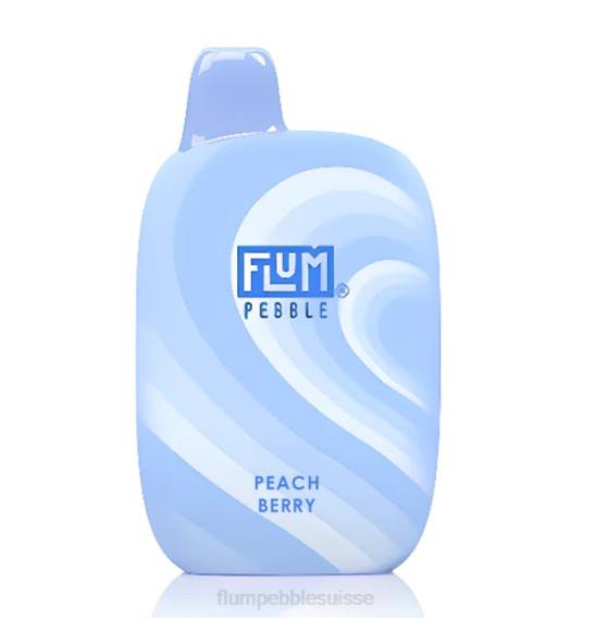 FLUM PEBBLES 6000 bouffées | Flum Pebble Vape Near Me H2R439 baie de pêche