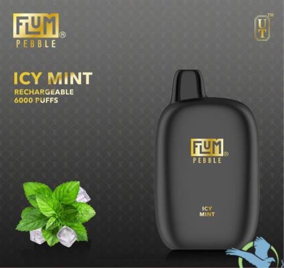 FLUM PEBBLES 6000 bouffées | Flum Pebble Vape Near Me H2R449 menthe glacée