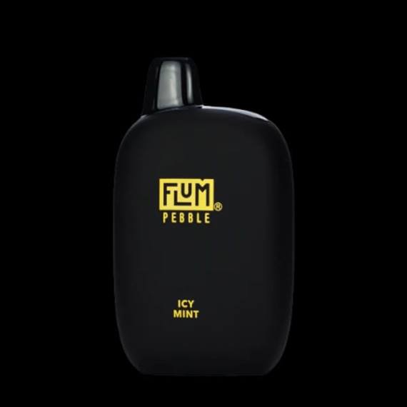 FLUM PEBBLES 6000 bouffées | Flum Pebble Vape Near Me H2R449 menthe glacée