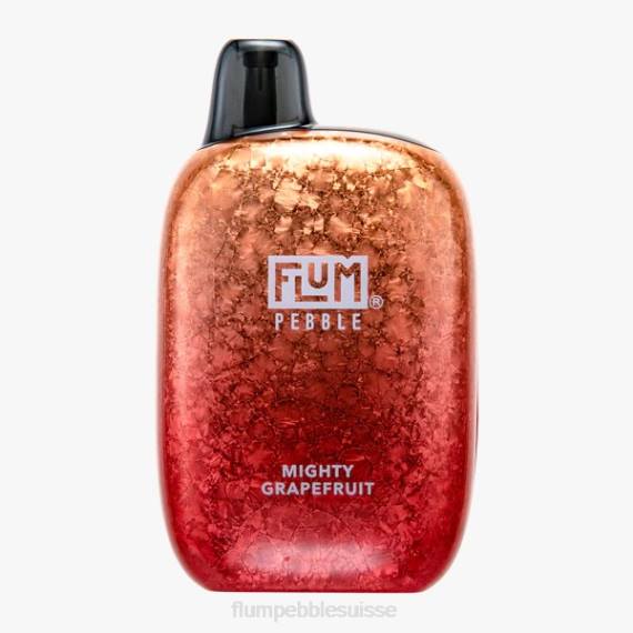 FLUM PEBBLES 6000 bouffées | Flum Pebble Vape Price H2R438 pamplemousse puissant