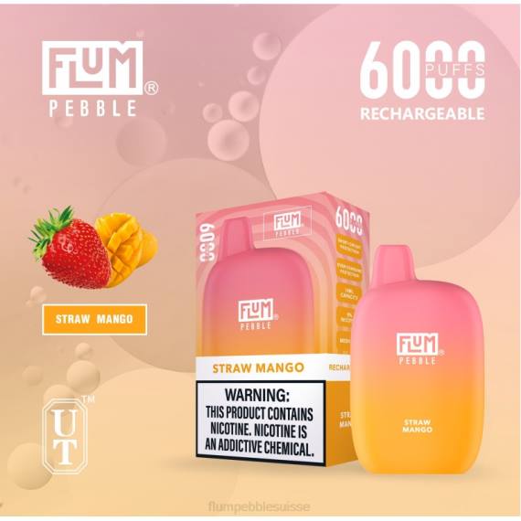 FLUM PEBBLES 6000 bouffées | Flum Pebble Vape Price H2R468 mangue paille