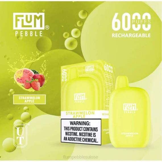 FLUM PEBBLES 6000 bouffées | Flum Pebble Vape Price H2R478 pomme pastèque