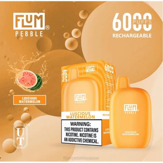 FLUM PEBBLES 6000 bouffées | Flum Pebble Vape Review H2R450 pastèque succulente