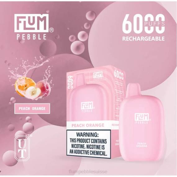 FLUM PEBBLES 6000 bouffées | Flum Pebble Vape Review H2R460 pêche glacée