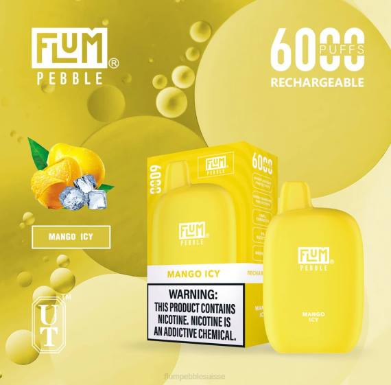 FLUM PEBBLES 6000 bouffées | Flum Pebble Vape Suisse H2R453 mangue glacée