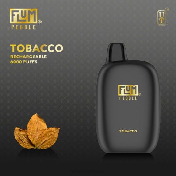 FLUM PEBBLES 6000 bouffées | Flum Pebble Vape Suisse H2R483 le tabac