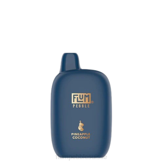 FLUM PEBBLES 6000 bouffées (édition de Noël) | Flum Pebble Suisse H2R441 ananas noix de coco