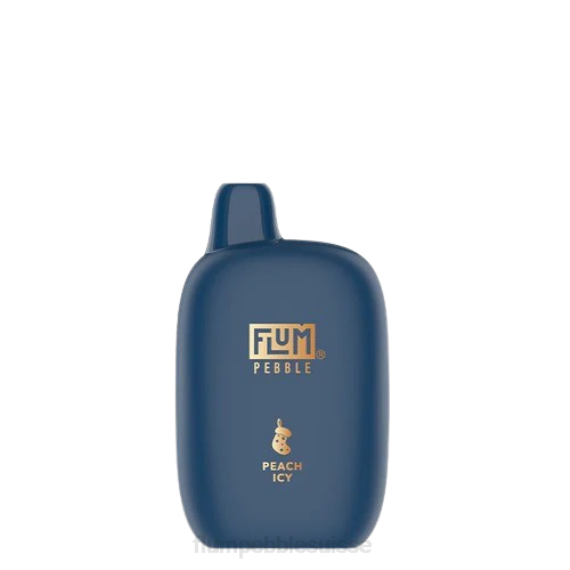 FLUM PEBBLES 6000 bouffées (édition de Noël) | Flum Pebble Vape Review H2R440 pêche glacée